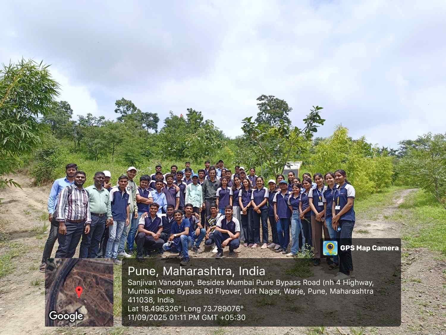 Tree Plantation 2025