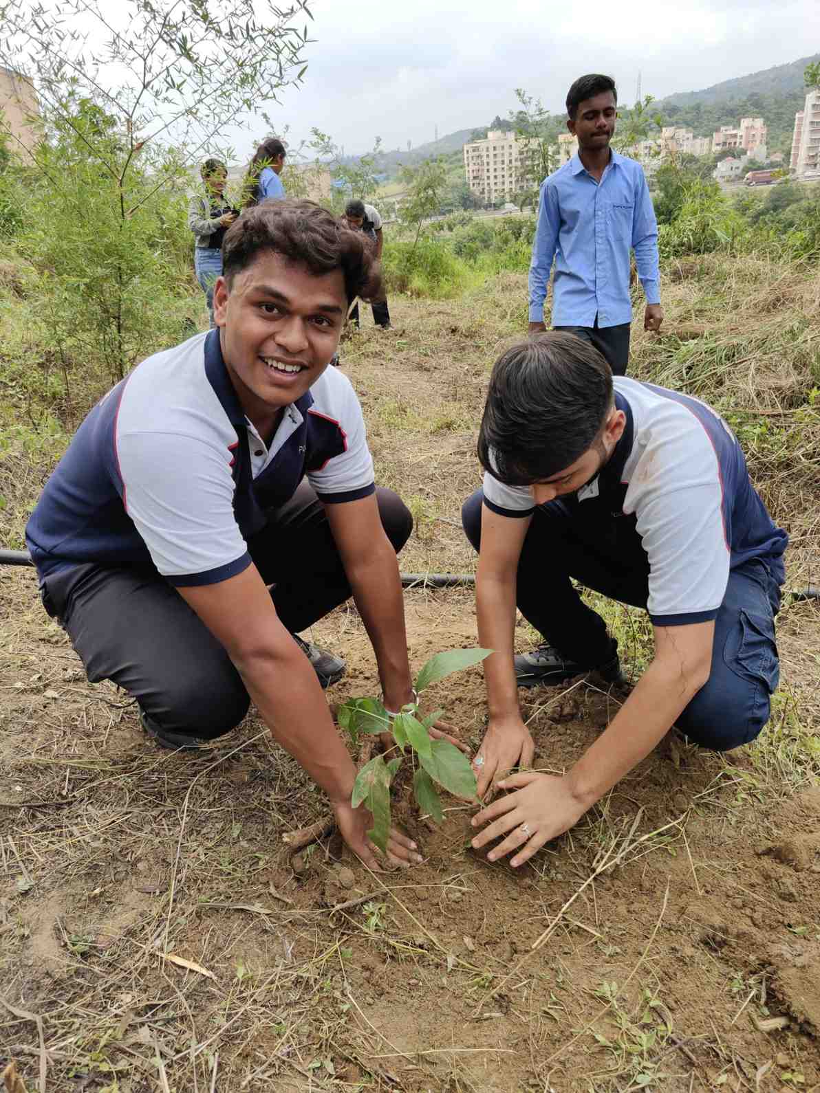 Tree Plantation 2025